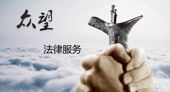 沈阳企业法律与商务服务全景指南 知识产权代理与公司律师的实战价值